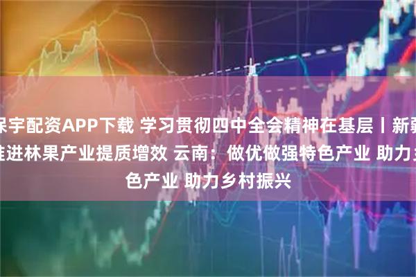 保宇配资APP下载 学习贯彻四中全会精神在基层丨新疆：全面推进林果产业提质增效 云南：做优做强特色产业 助力乡村振兴